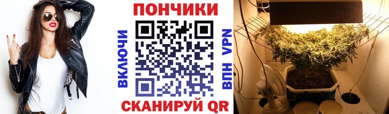 Бошки Шишки MAZAR  Купить где  Лянтор 